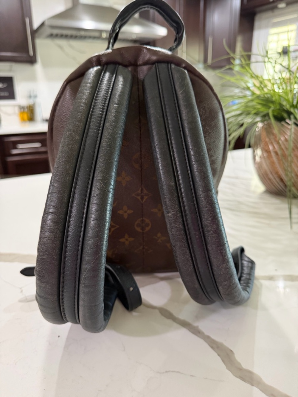 Louis Vuitton Monogram Mini Backpack in Brown with Gold Hardware - Picture 3 of 6